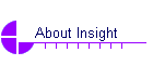 About Insight