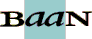 The Baan Corporation